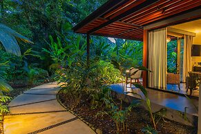 Noah's Forest by Tifakara