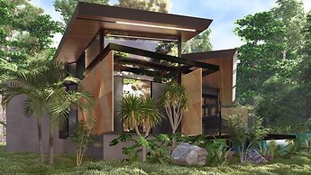 Noah's Forest by Tifakara