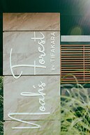 Noah's Forest by Tifakara