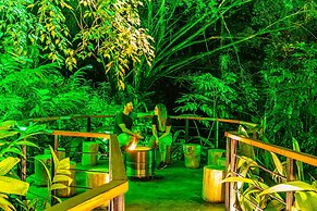 Noah's Forest by Tifakara