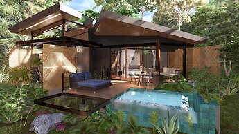 Noah's Forest by Tifakara