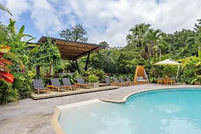 Noah's Forest by Tifakara