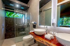 Noah's Forest by Tifakara