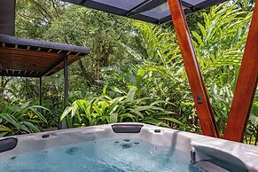 Noah's Forest by Tifakara