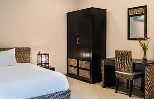 Noah's Forest by Tifakara