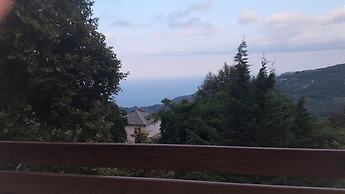 Victoria's Country Apartments