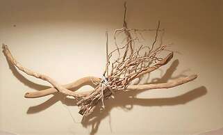 Victoria's Country Apartments