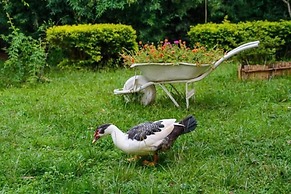 Pousada Luar do Sertão