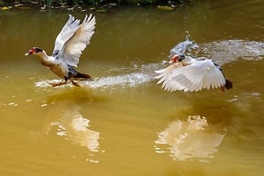 Pousada Luar do Sertão