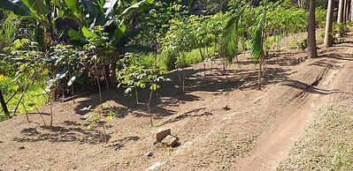 Espaço UNIFLORA Eventos