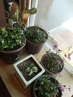 Tongyeong Iris Pension