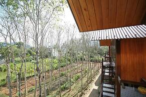 Phong Nha Mountain House