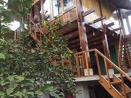 Phong Nha Mountain House