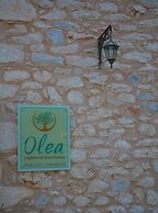 Olea