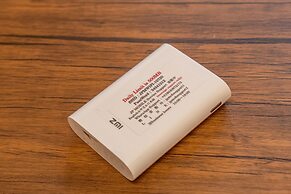 Chachamaru Osaka Castle