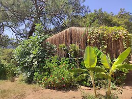 Kidrak Camping Namaste