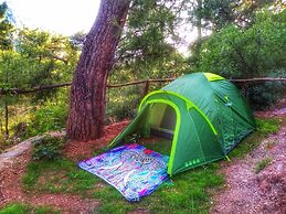 Kidrak Camping Namaste