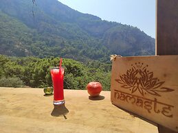 Kidrak Camping Namaste