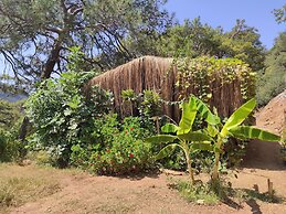 Kidrak Camping Namaste