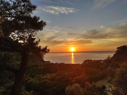 Kidrak Camping Namaste