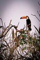 Parque Hotel Holambra