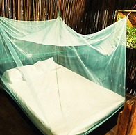 Oasis Hostal Restaurante