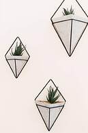 Beautiful and Cozy Steps From Mount-royal