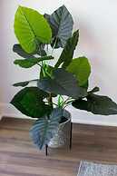 Brand New 3 Bedroom With Rooftop Patio