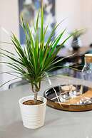 Brand New 3 Bedroom With Rooftop Patio