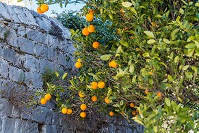 Villa Vista Old Town