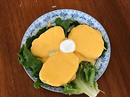 Ica Adventures Hidden Paradise