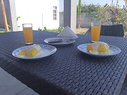 Ica Adventures Hidden Paradise