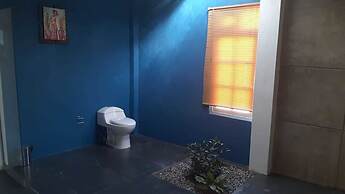 Ica Adventures Hidden Paradise