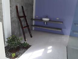 Ica Adventures Hidden Paradise