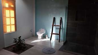 Ica Adventures Hidden Paradise