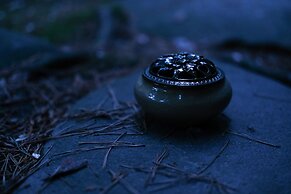 Zenkoji Temple Yakuoin