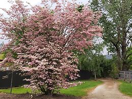 Eco Villa Mt Beauty Near Falls Creek & Bright