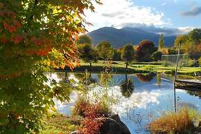 Eco Villa Mt Beauty Near Falls Creek & Bright