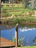 Eco Villa Mt Beauty Near Falls Creek & Bright