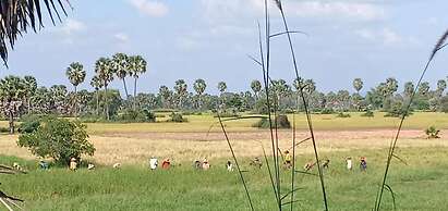 Damnak Tormeas Homestay