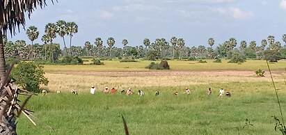 Damnak Tormeas Homestay