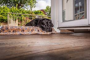 City Appartments Am Wall