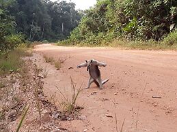 Atta Rainforest Lodge