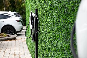 The Lauderdale Boutique Hotel