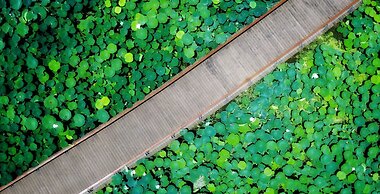 Suining Marriott Hotel