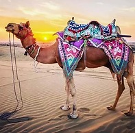 Anantra Resort Jaisalmer