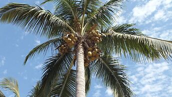 Kunta Kinteh Beach Complex