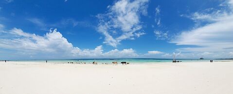 ARYA Boutique Resort