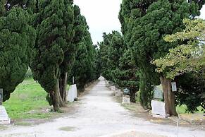 La Dimora Di Segesta B&B