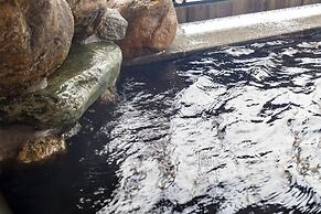 Dormy Inn Kawasaki Natural Hot Spring